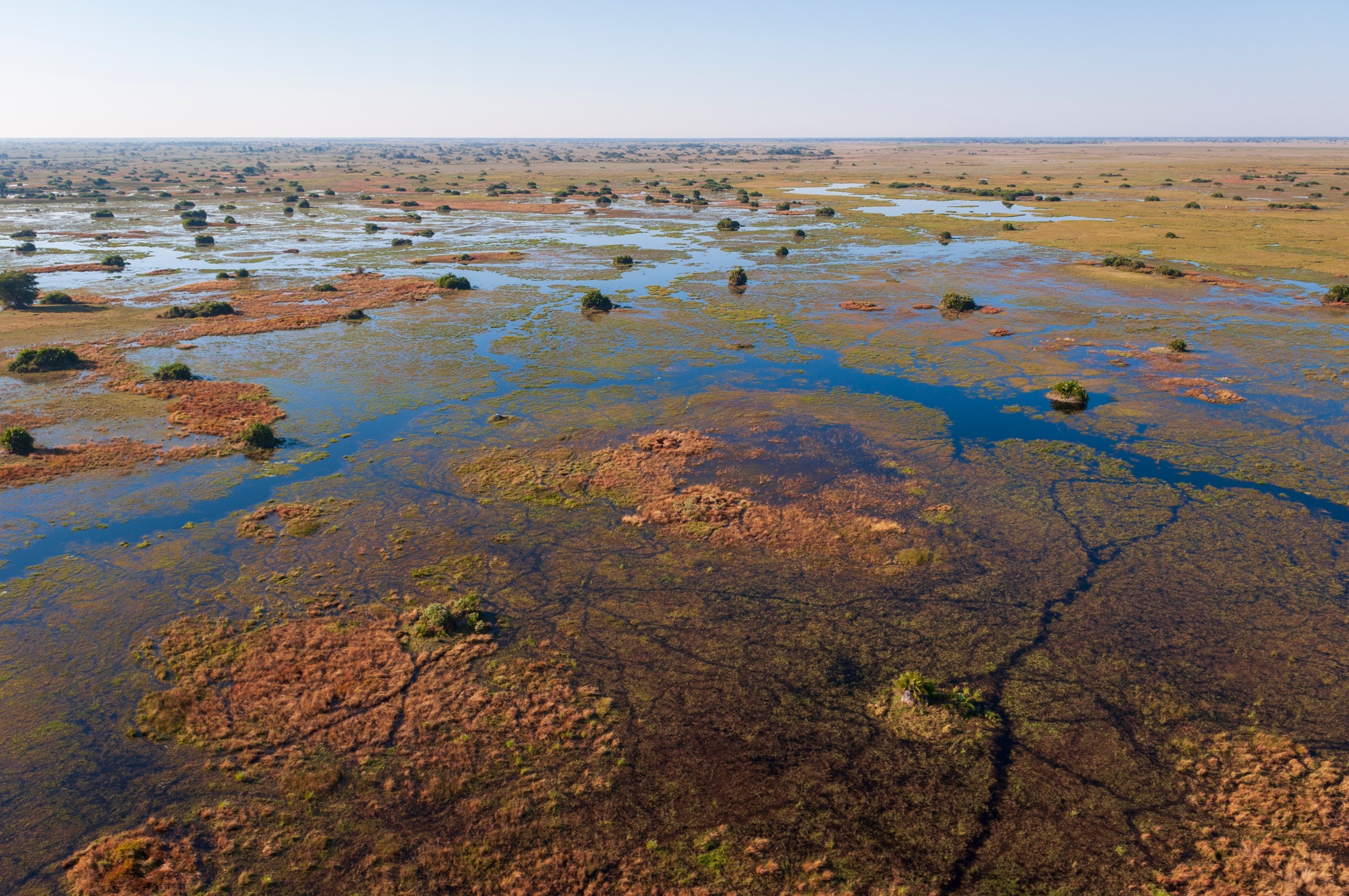 Aerial view of a lush wetland ecosystem at sunrise