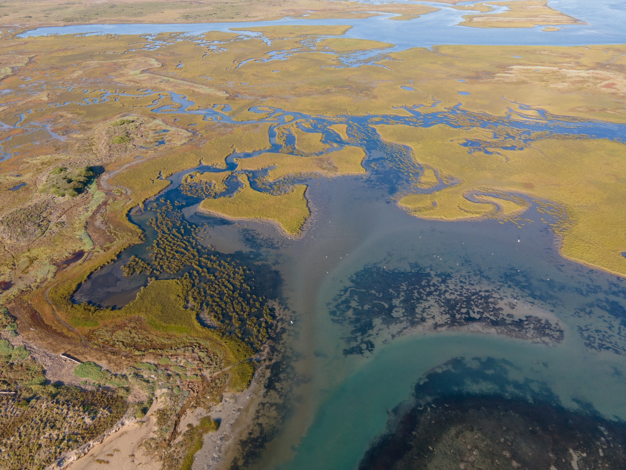 Aerial view of estuary as seen from the sky